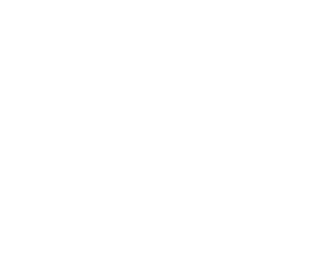 Roma Servicios Integrales S.A.